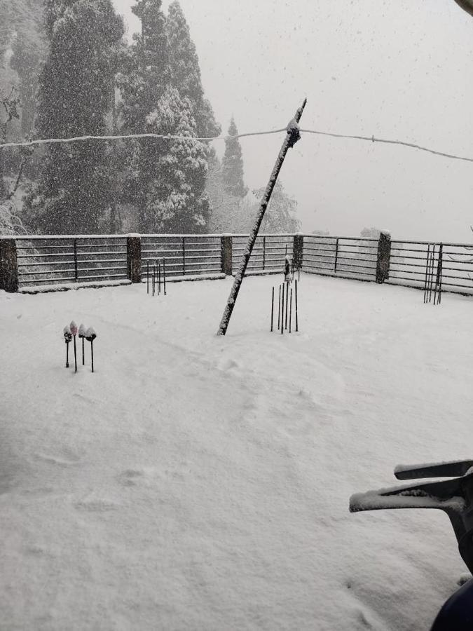 Mountain Chalet Dardzsiling Kültér fotó